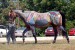 Blog_202006_2D08_2D28_20Horse.jpg